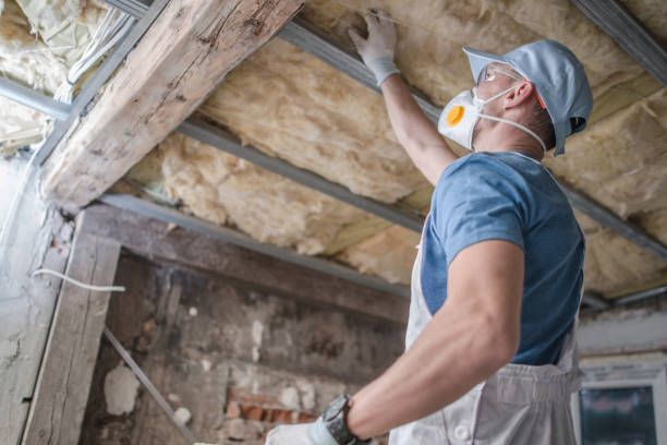 Best Wall Insulation Installation  in Lodi, WI