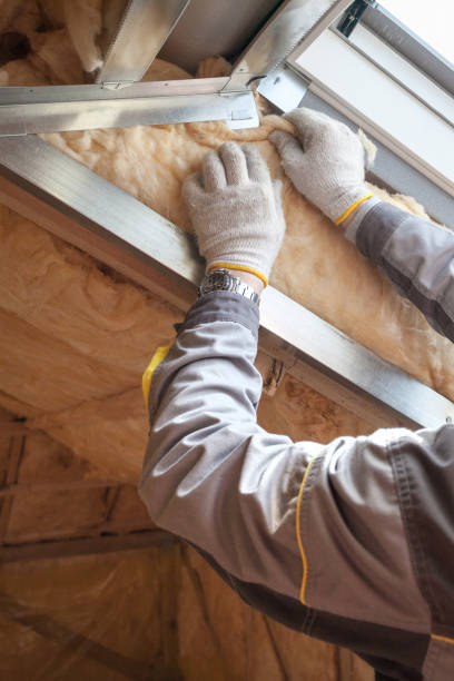 Best Blown-In Insulation  in Lodi, WI