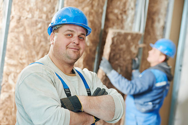 Best Eco-Friendly or Green Insulation Solutions  in Lodi, WI