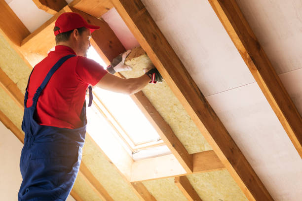  Lodi, WI Insulation Installation & Removal Pros